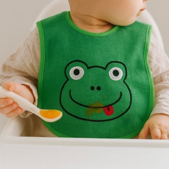 Bib with Embroidery - Frog - Image 2